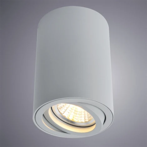Накладной точечный светильник Arte Lamp Sentry A1560PL-1GY