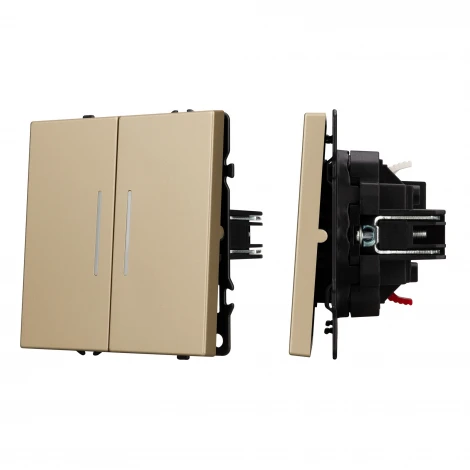 Механизм выключателя двухклавишный непроходной LED SWT-NOBE-MK02-SFPL-L-GD (230V, 10A) (Arlight) 054265