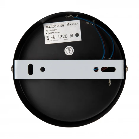 Потолочная люстра на штанге Freya Matis FR4010CL-03GB