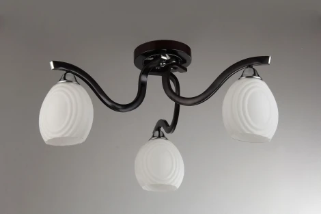 Потолочная люстра Toscom Trum TC-300-303