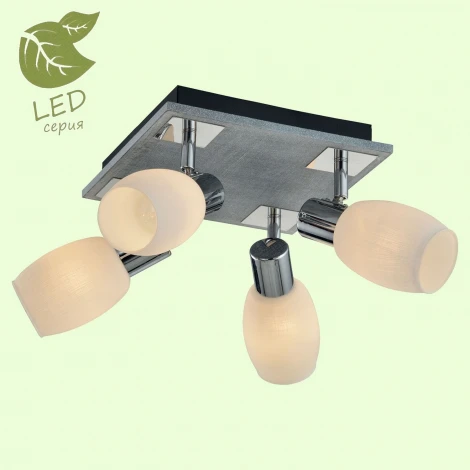 Спот Lussole Lgo Hackberry GRLSP-0052