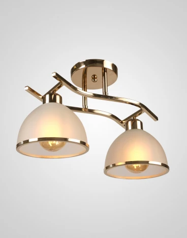 Потолочная люстра на штанге Мелодия Света SL1N 000023813