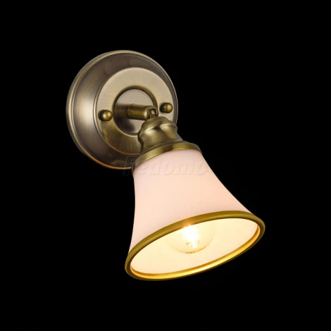 Спот Freya Jasinta FR2272-WL-01-BS (220V, круглые)