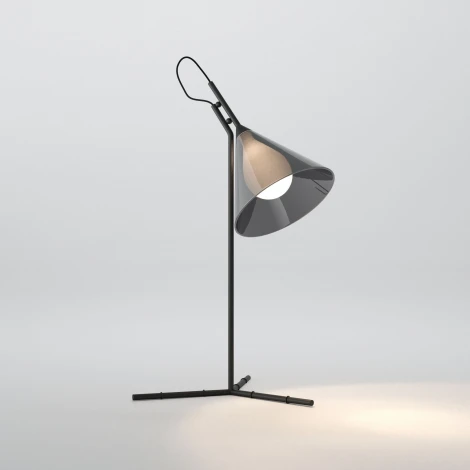 Настольная лампа Eurosvet Enigma 01186/1