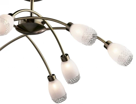 Потолочная люстра Odeon Light Lerta 1803/8