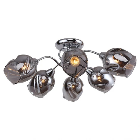 Потолочная люстра Lussole Lgo Cochise LSP-8087 (220V, IP21)