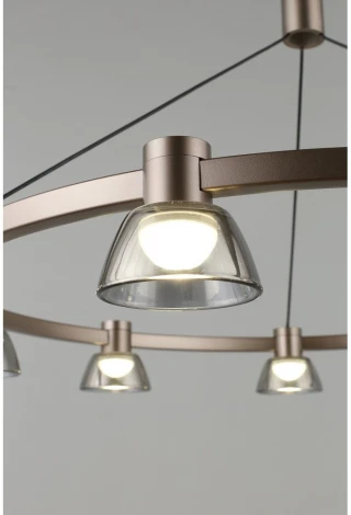 Подвесной светильник Aployt Rezeda APL.788.03.09 (LED, 220V, на проводе)