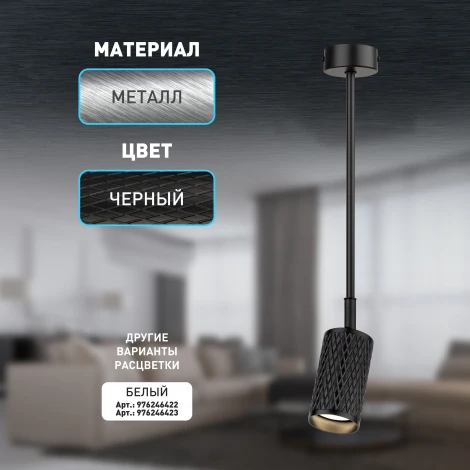 Спот на штанге ЭРА OL45 BK (220V)