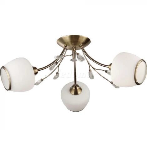 Collezioni Rumba TC-110-403