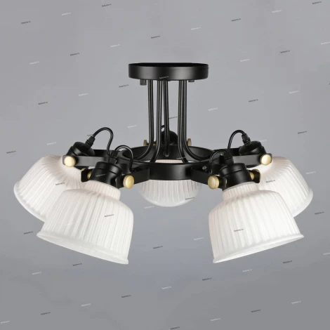 Потолочная люстра Omnilux Zamora OML-28207-05
