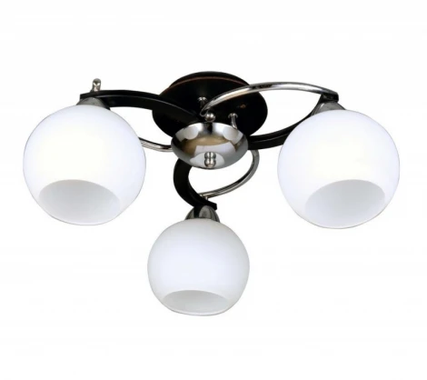 Потолочная люстра Omnilux 254 OML-25407-03 (220V, шарики)