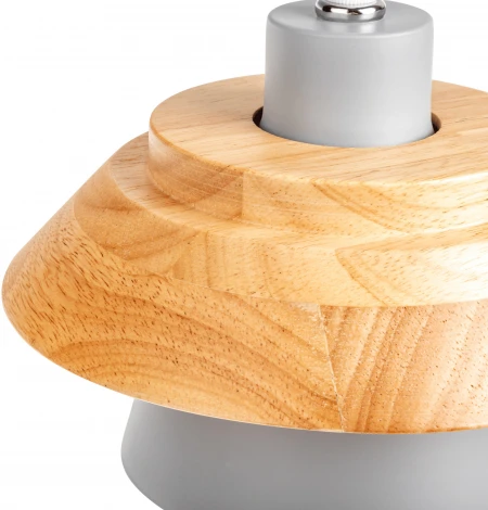 Подвесной светильник Ritter Albero 52449 6