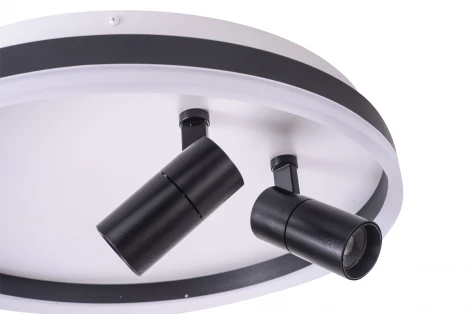Потолочный светильник круглый со спотами Zortes Raizy ZRS.1888.01 (LED, 220V, круглые)