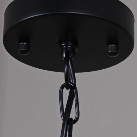 Подвесной светильник ILLUMICO IL1031-3P-05 BLACK (220V, на цепи)