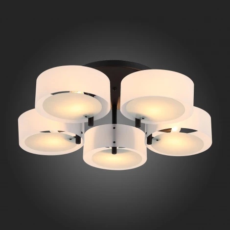 Потолочная люстра ST Luce Foresta SL483.402.05