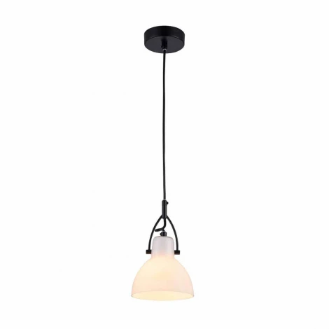 Подвесной светильник Maytoni Daniel MOD407-PL-01-W