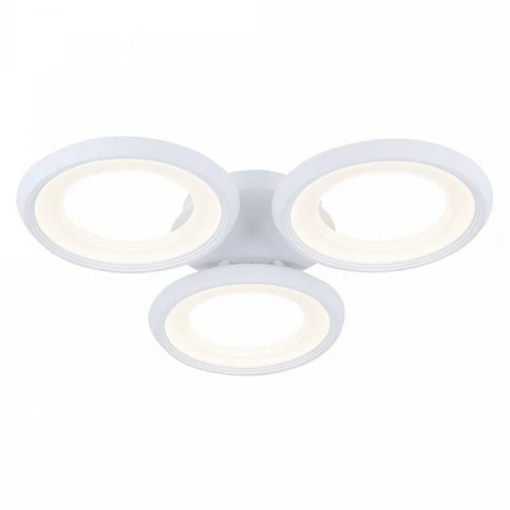 Потолочная люстра Freya Blis FR6010CL-L51W