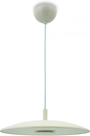 Подвесной светильник Lightera Thale LE123L-40W (LED, 220V, на проводе, круглые)