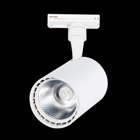 Трековый светильник ST Luce Cami ST351.536.20.24 (LED, 220V, круглые, IP22)