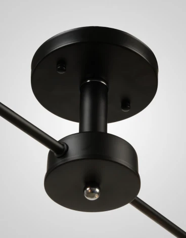 Потолочная люстра на штанге Мелодия Света SS1N 000029909