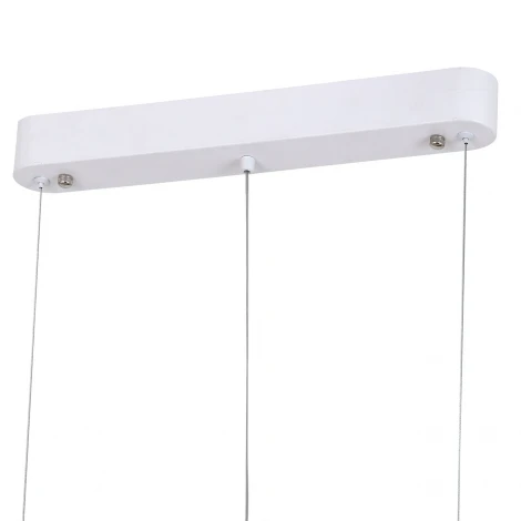 Подвесная люстра светодиодная Indigo Diluvio V000193L (12054/1PL White)