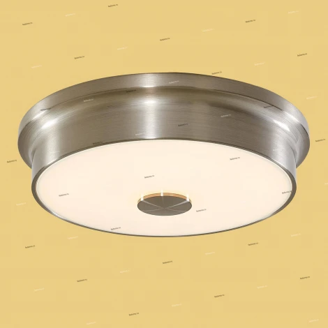 Потолочный светильник Citilux Фостер-2 CL706221