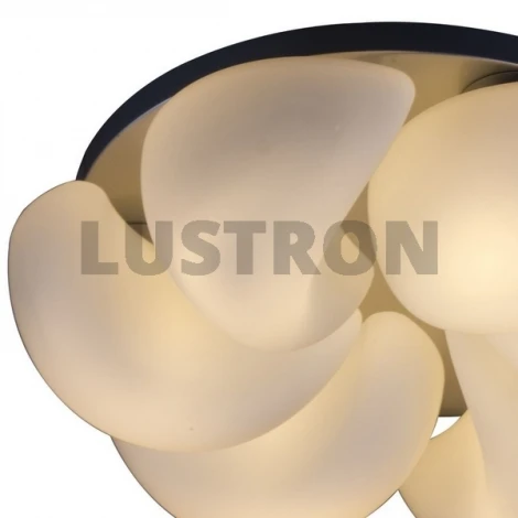 Потолочный светильник ST Luce Torcere SL538.502.06