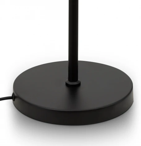 Торшер Freya Evidence FR5372FL-03B (220V)