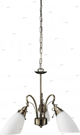 Massive Egmo 37720-06-10