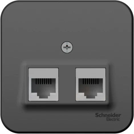 Розетка накладная двойная Ethernet RJ-45 (антрацит) Systeme Electric Blanca BLNIA045456