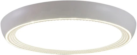 Потолочный светильник Seven Fires Санни 48019.50.90.77CL-RGB