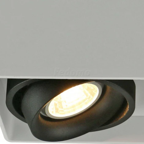 Накладной точечный светильник Arte Lamp Pictor A5655PL-2WH (220V)