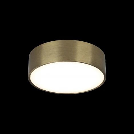 Потолочный светильник круглый Aployt Evon APL.0114.29.12 (LED, 220V, круглые)