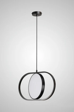 Подвесной светильник светодиодный AM Group AM451 (220V, на проводе, круглые)