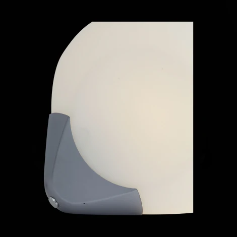 Настенно-потолочный светильник ST Luce Orbe SL809.501.01