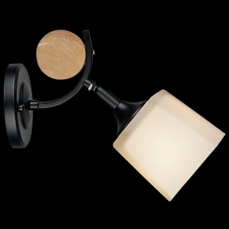 Спот Reluce 04217-0.2-01 BK (220V)