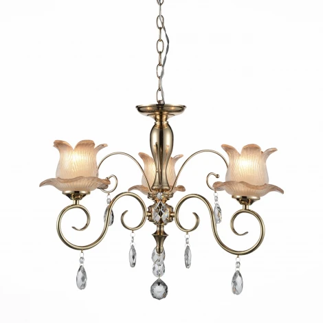 Подвесная люстра ST Luce Pianta SL668.203.03