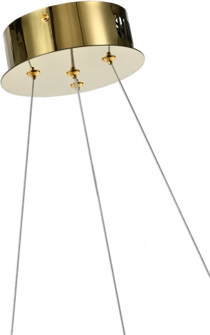 Подвесная люстра Zortes Dulana ZRS.1211.50 (LED, 220V, на тросе, круглые)