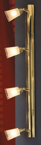Настенно-потолочный светильник Lussole Rasen LSL-5009-04