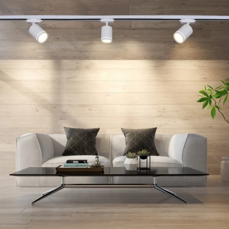 Трековый светильник Reluce 06210-9.3-001RN MR16 WT (220V)