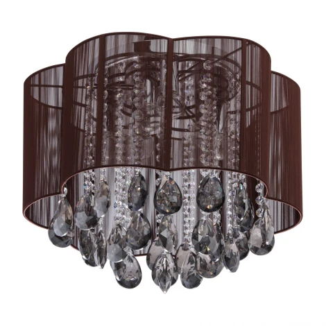 Потолочная люстра MW-Light Жаклин 465014406