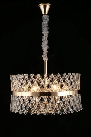 Подвесная люстра Aployt Toinet APL.734.06.06 (220V, на цепи, круглые)