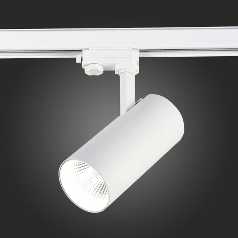 Трековый светильник трехфазный 220V ST Luce ST661 ST661.546.40 (LED, круглые)