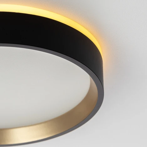 Настенно-потолочный светильник с подсветкой Черный+Золото Citilux Etalon CL750181 (LED, 220V, круглые, IP40)