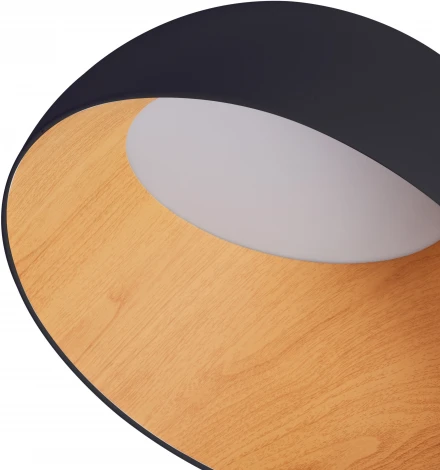 Потолочный светильник круглый светодиодный Zortes Baum ZRS.01243.07 (220V, круглые, IP21)