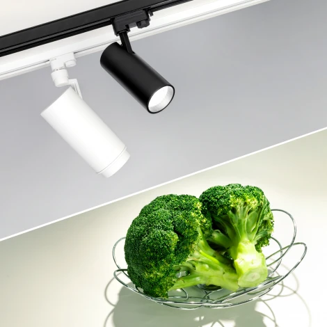 Трековый светильник Arlight GD-ZEUS 032449 (LED, 220V, круглые)