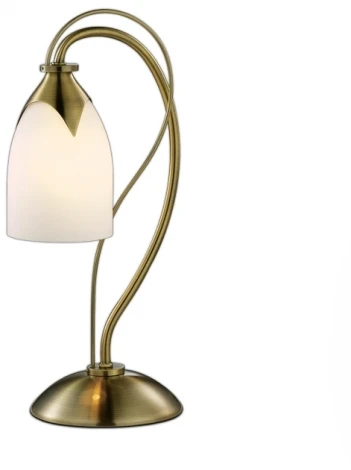 Интерьерная настольная лампа Odeon Light Risto 2079/1T