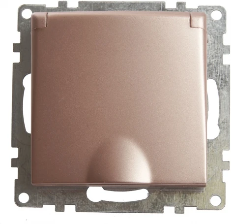 Розетка с заземлением защитной крышкой и шторками (шампань) Stekker Катрин 39594