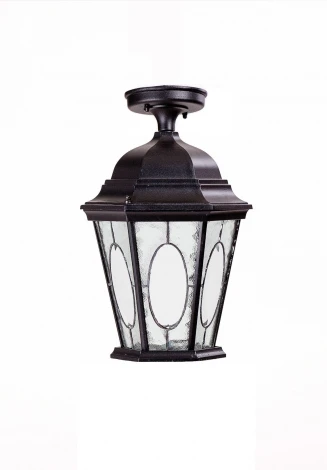 Потолочный светильник уличный Oasis Light ASTORIA 2M 91405MA Bl овал (220V, IP44)