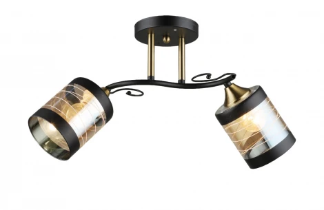 Потолочная люстра на штанге Мелодия Света SL1N SL1624-2 BK+CP 000066053 (220V)